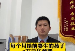 深圳盐田区合同诈骗罪辩护律师：为您的权益保驾护航